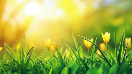 心と発達の相談室ひだまり